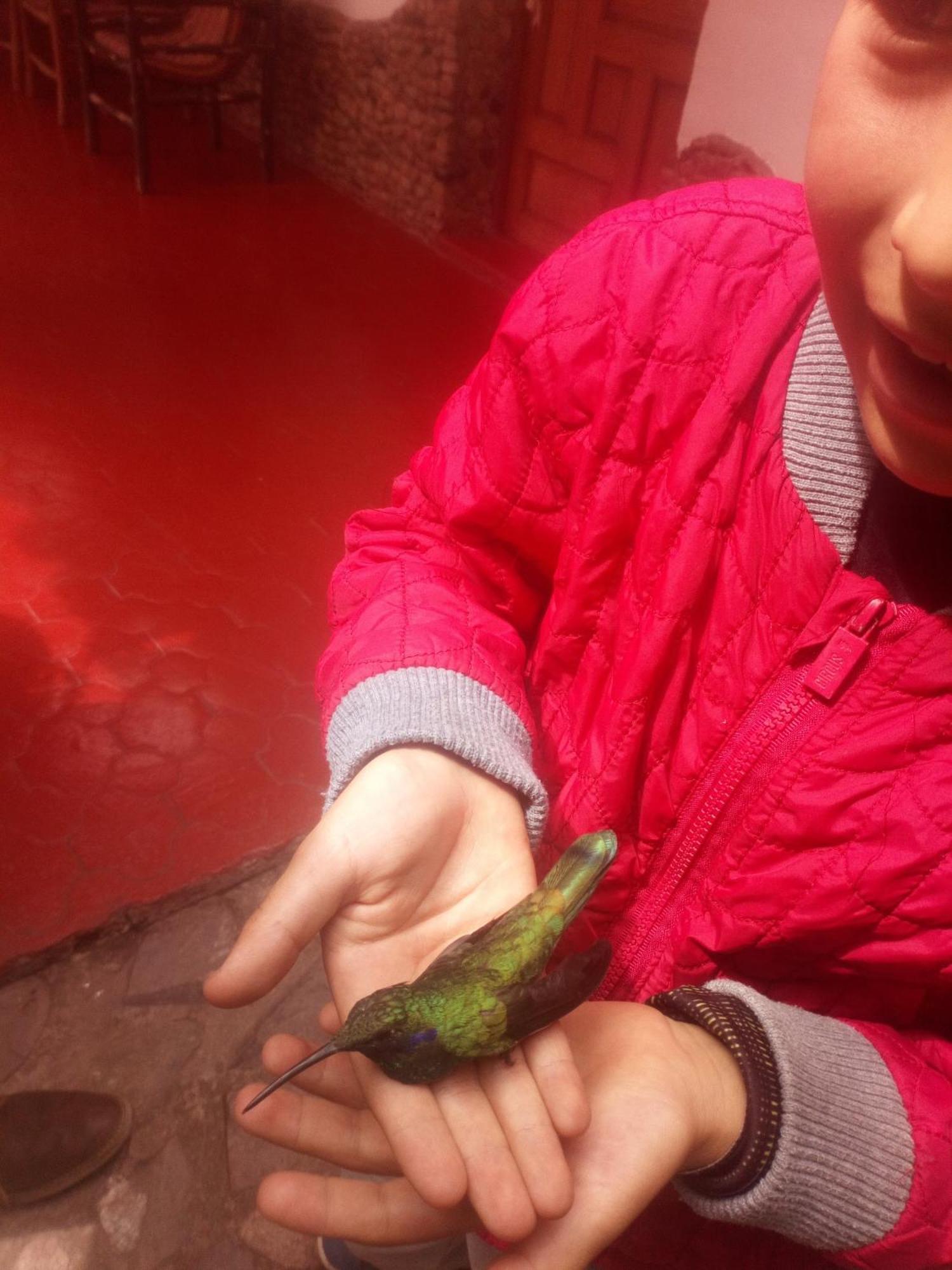 EColodge Ccatan Urubamba Esterno foto