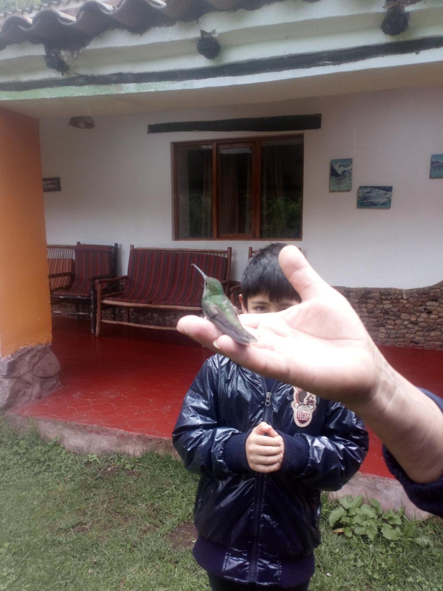 EColodge Ccatan Urubamba Esterno foto